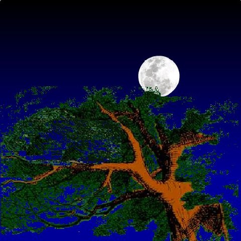 Ay ve Ağaç